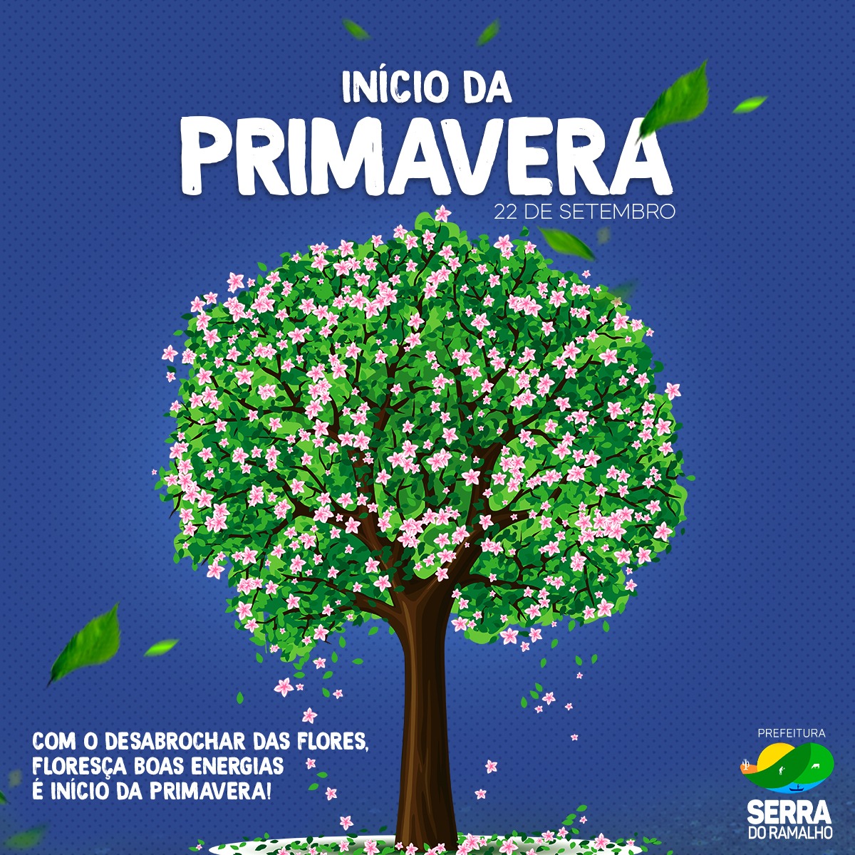 Aproveite o florescer das plantas que irão embelezar nossa cidade e nossa vida nesta temporada