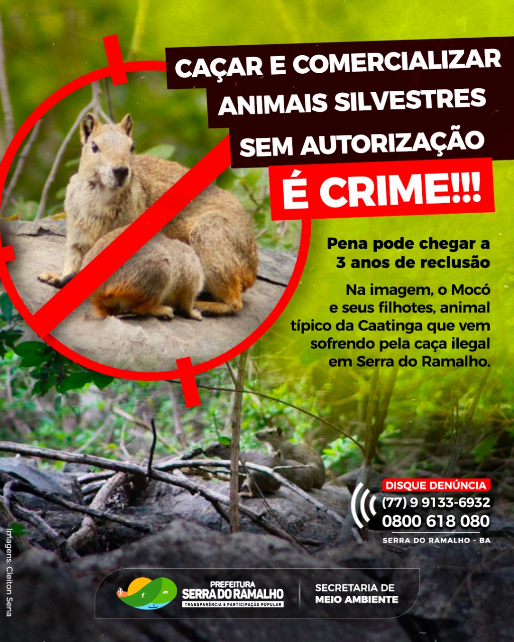 De acordo com a Lei Federal 9605/1998, a caça e morte de animais silvestres sem a devida permissão é crime, podendo prever prisão de até um ano e multa de R$5 mil.