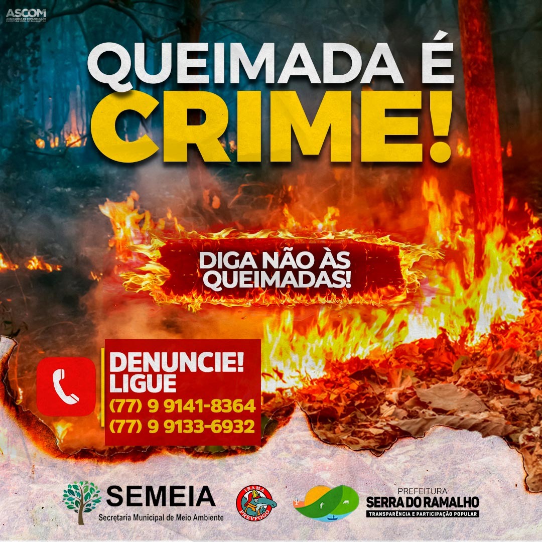 Segundo o Artigo 250 do Código Penal a partir do decreto lei 2848/40, causar incêndio, pondo em risco a integridade física ou patrimônio de outras pessoas é crime !