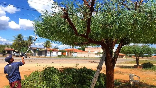 A Secretaria de Meio Ambiente está realizando a poda de árvores na comunidade da Agrovila 06.