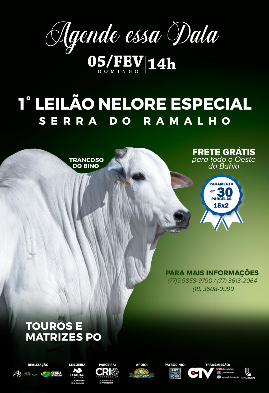 Vem aí o 1° leilão Nelore Especial de Serra do Ramalho!